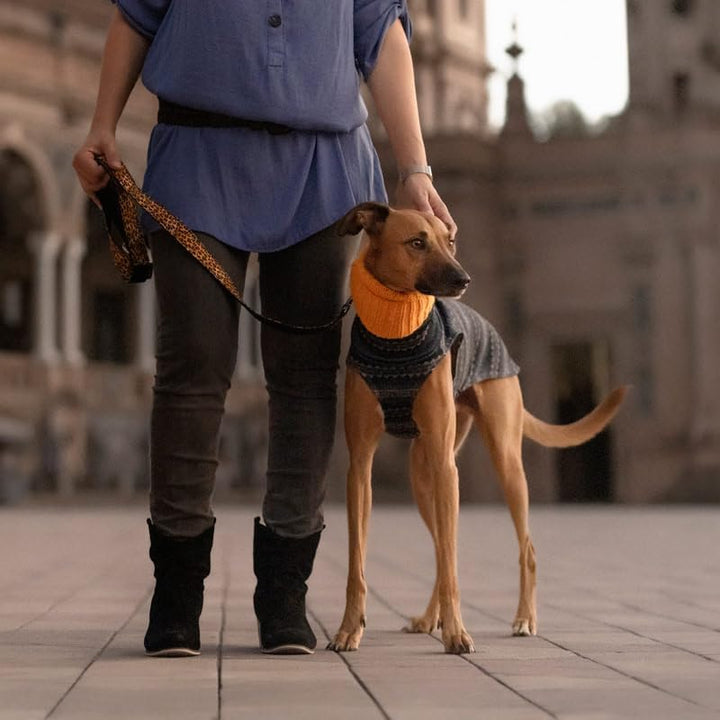 Windhund-Wollpullover - Stil, Wärme und Komfort - Elegantes Design und Passform Schutz vor Kälte - I