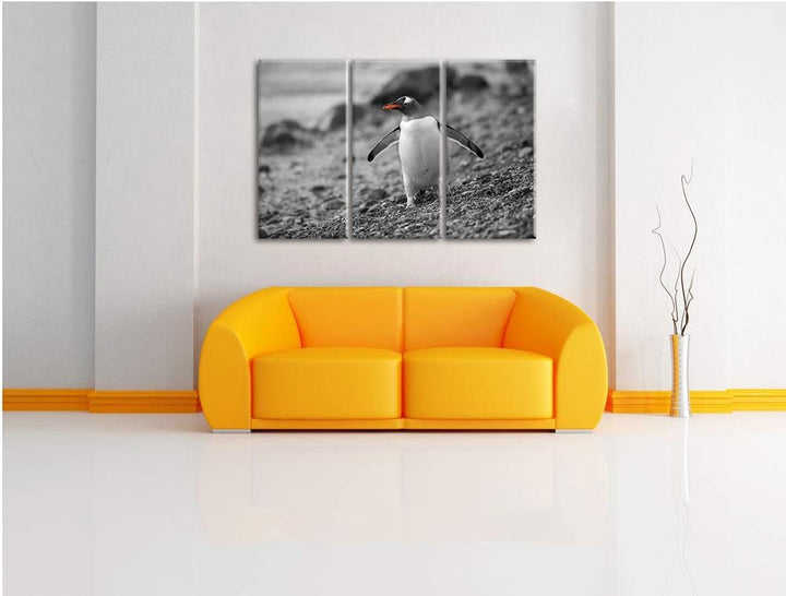 süsser Pinguin am Steinstrand schwarz/weiss 3-Teiler Leinwandbild 120x80 Bild auf Leinwand, XXL ries