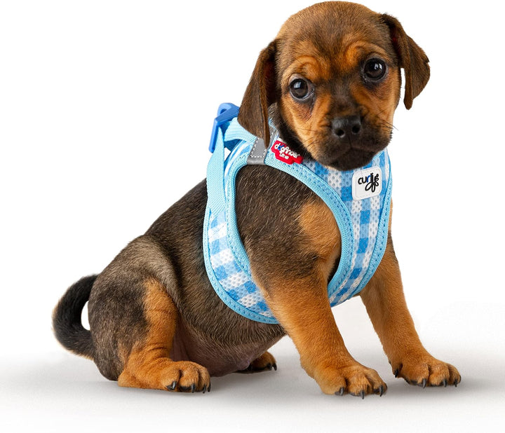 Vest Harness curli Clasp Air-Mesh SkyBlue-Caro M & Leash L, Skyblue-Caro M