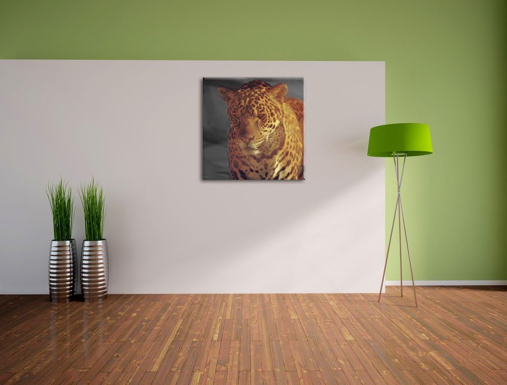 Pixxprint Einsamer Leopard in der Wüste als Leinwandbild/Grösse: 70x70 cm/Wandbild/Kunstdruck/fertig
