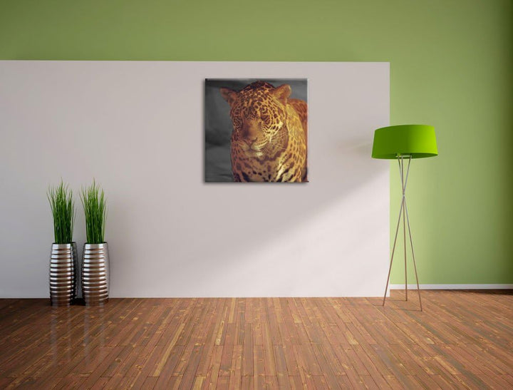Pixxprint Einsamer Leopard in der Wüste als Leinwandbild/Grösse: 70x70 cm/Wandbild/Kunstdruck/fertig