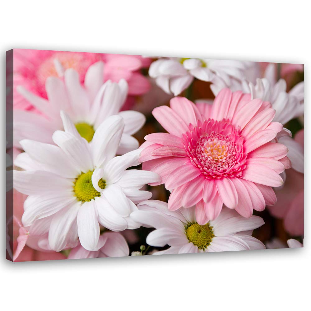 Feeby Bild auf Leinwand Blumen Kunstdruck modern Garten Rosa 80x60 cm Leinwandbild 80x60 cm Rosa_D,