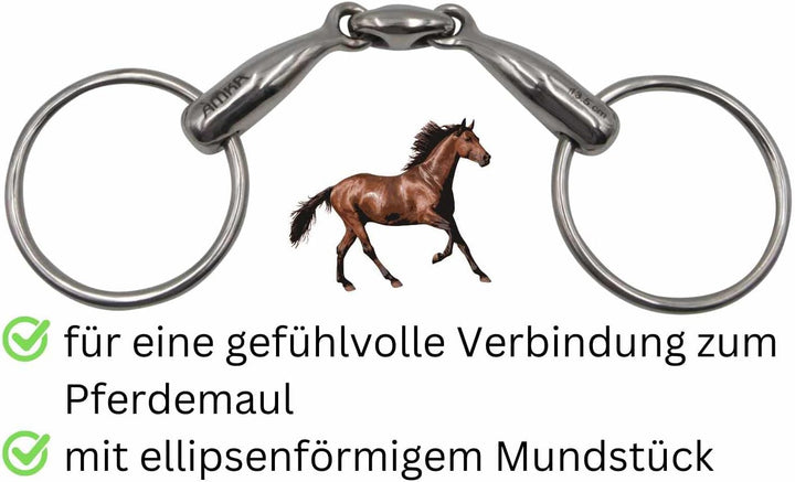AMKA Wassertrense doppelt gebrochen massiv Edelstahl Stärke 18 mm, Ringe 65 mm 15,5, 15,5