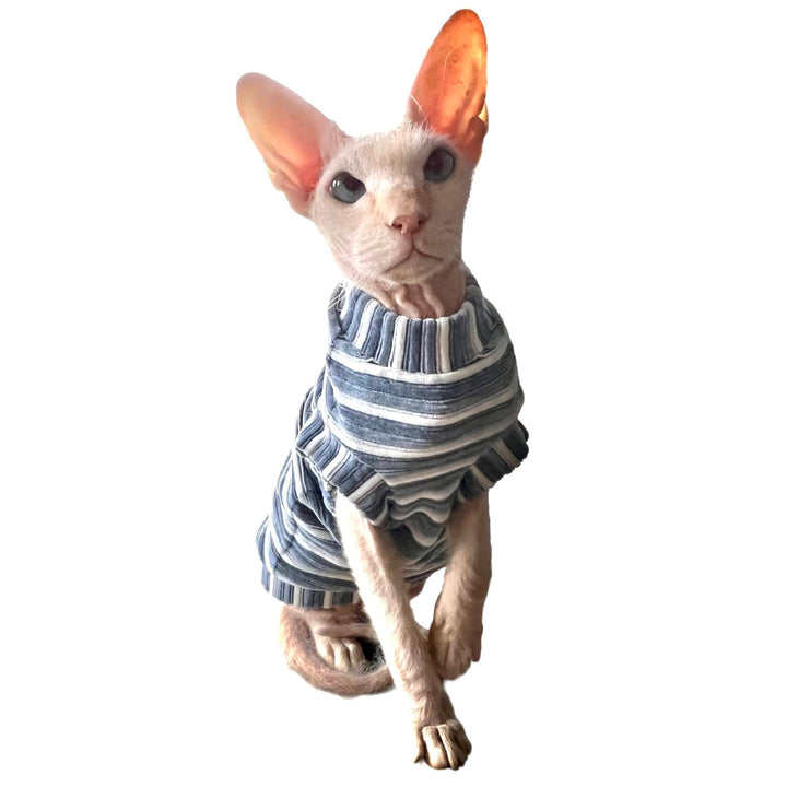 Kotomoda Katzen Kleidung T-Shirt Kord staubblau fur Sphynx Katzen (S), S