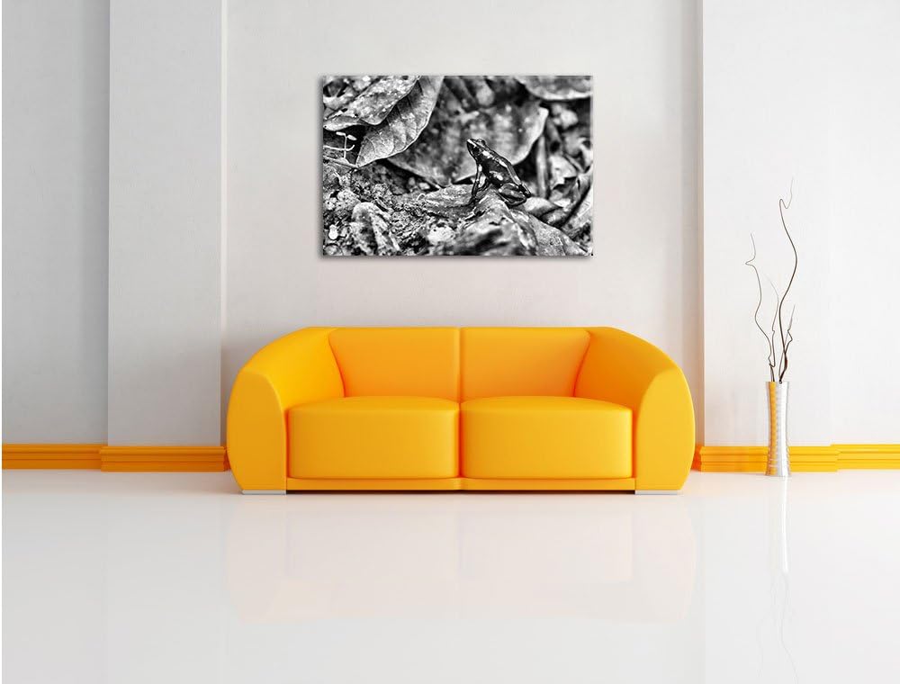 Pixxprint Baumsteiger Frosch als Leinwandbild/Grösse: 100x70 cm/Wandbild/Kunstdruck/fertig bespannt,