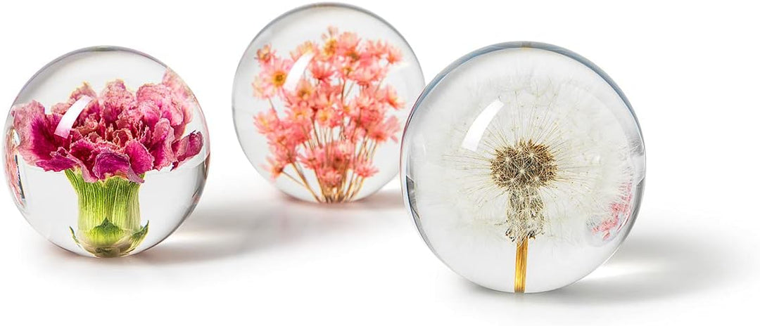 In Flore Dandelion Briefbeschwerer aus Harzglas, mit echtem Löwenzahn, 8 cm, weiss