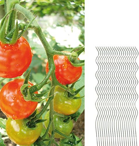 BigDean 20 Tomatenspiralstäbe 110cm voll verzinkt Tomatenstab Tomaten Ranke Pflanzstab Stahl Profi Q