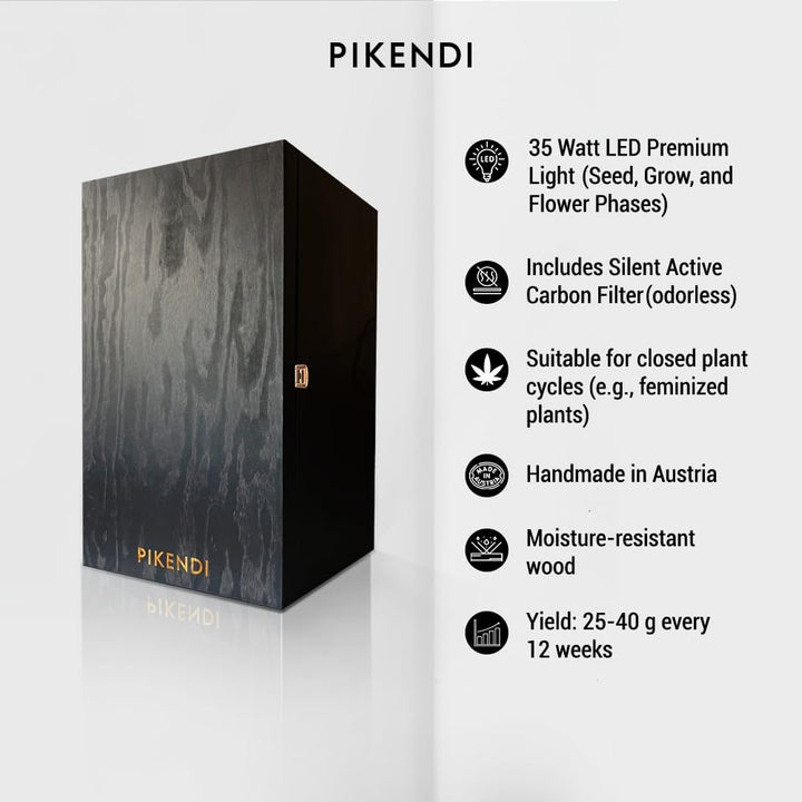 Bonsanto Pikendi Premium Schwarz Mini Grow Box, Komplett Set mit leisem Aktivkohlefilter & 35W LED,