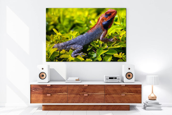 deyoli farbige Schuppen eines Reptil Format: 120x80 als Leinwandbild, Motiv fertig gerahmt auf Echth