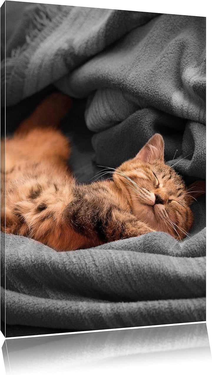 Pixxprint Bezaubernde schlafende Katze schwarz/weiss, Format: 80x120 auf hochkantiges Leinwand, ries