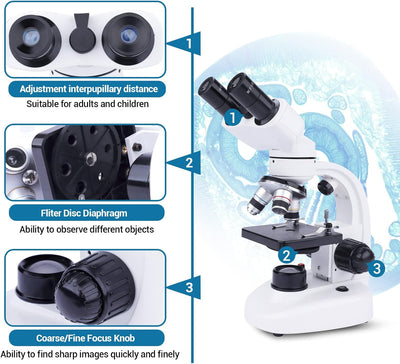 40X-1000X Binokular Mikroskop für Erwachsene Kinder, Compound Mikroskop mit Dual LED Beleuchtung mit