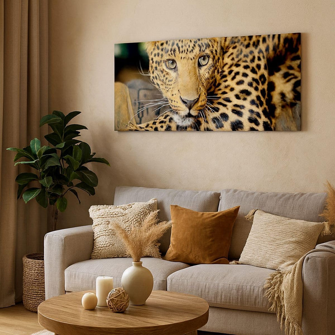 Wandbilder Dekoration Wohnzimmer Tiere gefährlich wilde katze Panorama Bilder auf Leinwand 120x50cm