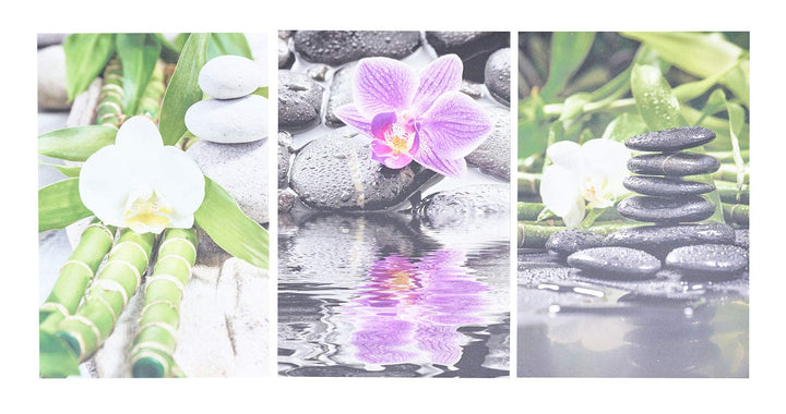 3er Set Wandbild je 20x30cm Aluminium Dibond Orchideen Wellness Deko Wanddeko Aluschild Alu-dibond,