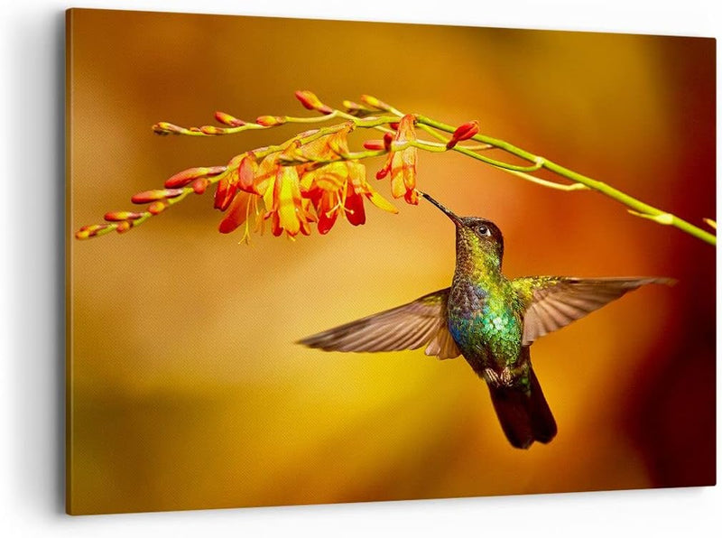 ARTTOR Bilder auf Leinwand 100x70cm Leinwandbild Kolibri Vogel Sommer Gross Wanddeko Bild Schlafzimm