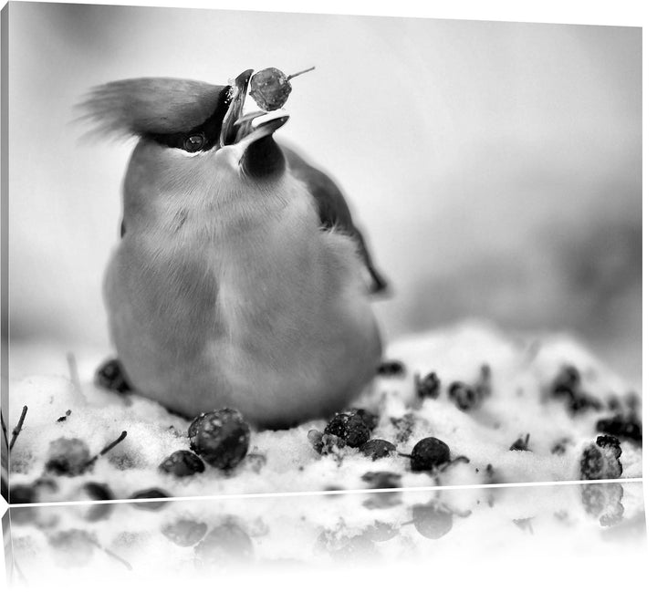 Pixxprint Kleiner Vogel im Schnee / 100x70cm Leinwandbild bespannt auf Holzrahmen/Wandbild Kunstdruc