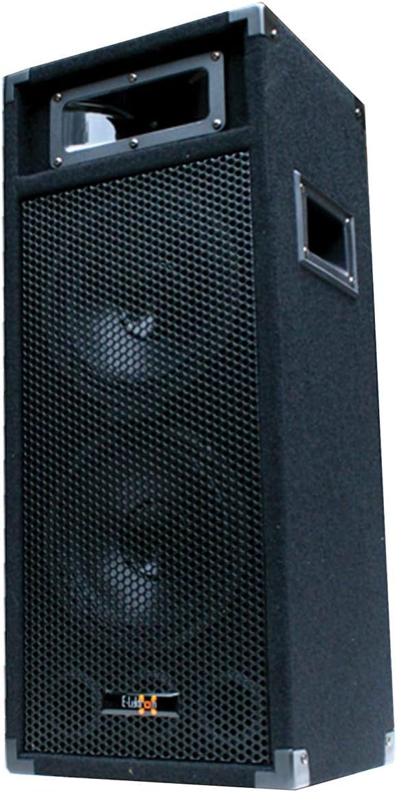 E-Lektron 500W DJ Party Lautsprecher Box doppel 8" Bass PW220