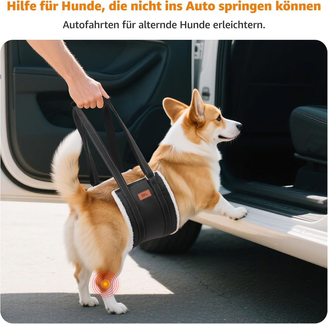 Hundegeschirr Hunde Tragehilfe Einstellbar Gehhilfe Hund Treppe Hund Hinten Lift Support Geschirr Kl