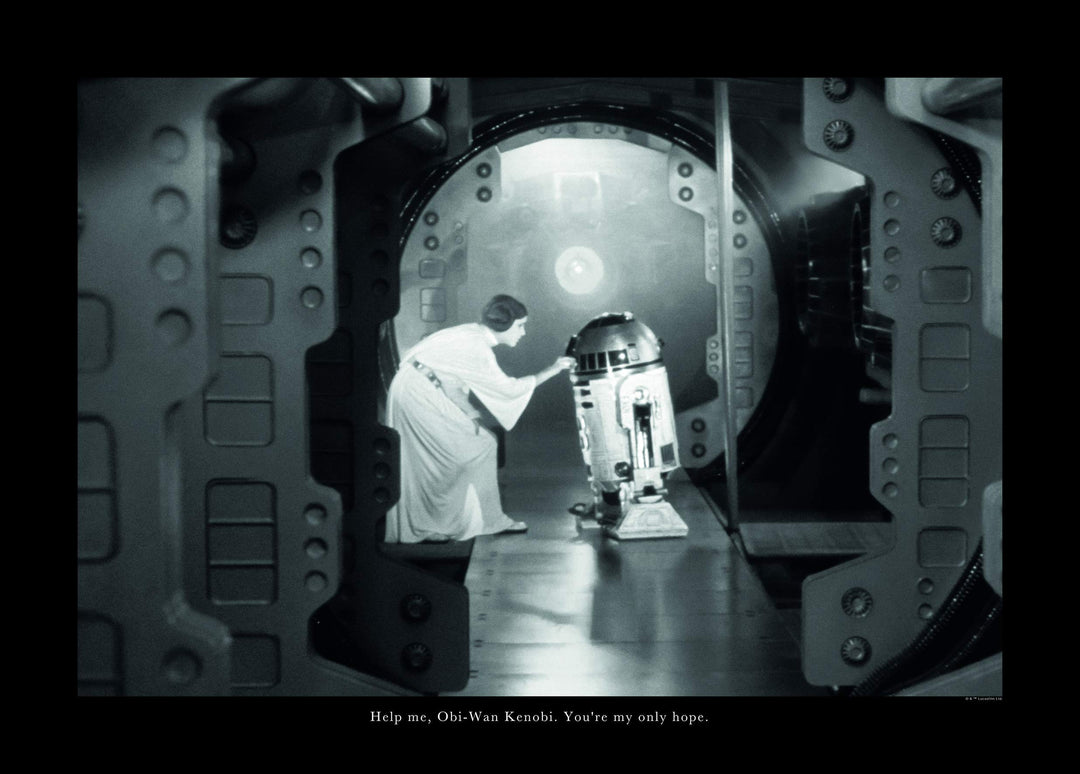 Komar Wandbild | Star Wars Classic Leia R2D2 Quote | Kinderzimmer, Jugendzimmer, Dekoration, Kunstdr