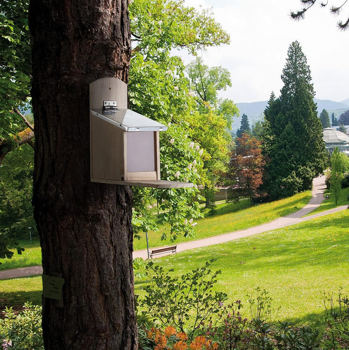 Royal Gardineer Eichhörnchenhaus: Wetterfestes Futterhaus mit Metalldach für Eichhörnchen, Holz-Baus