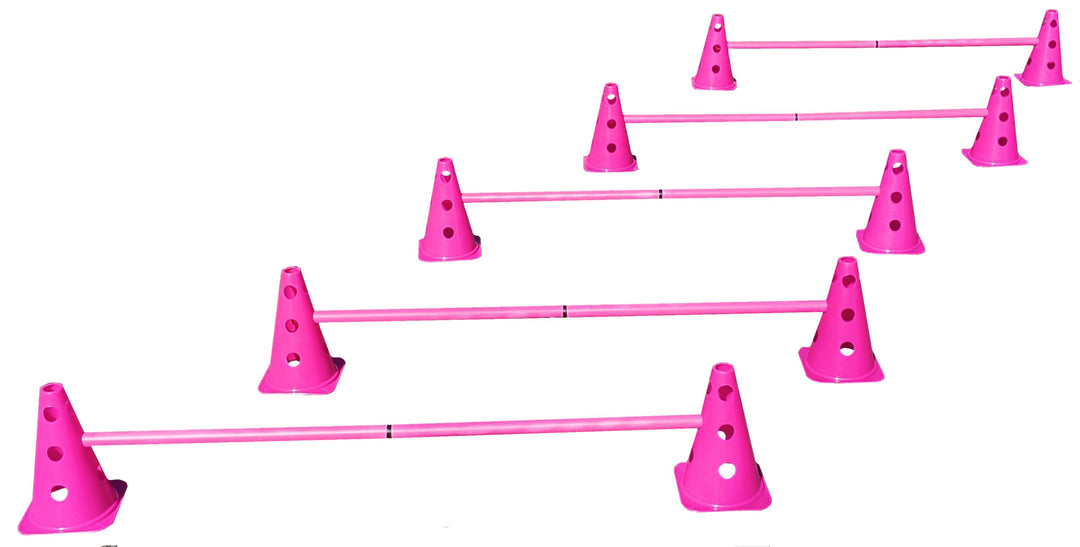 Steckhürdenset Pink - 5 er Set für Koordinationstraining Agility Hundesport Pferdesport Zubehör Loch