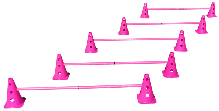 Steckhürdenset Pink - 5 er Set für Koordinationstraining Agility Hundesport Pferdesport Zubehör Loch
