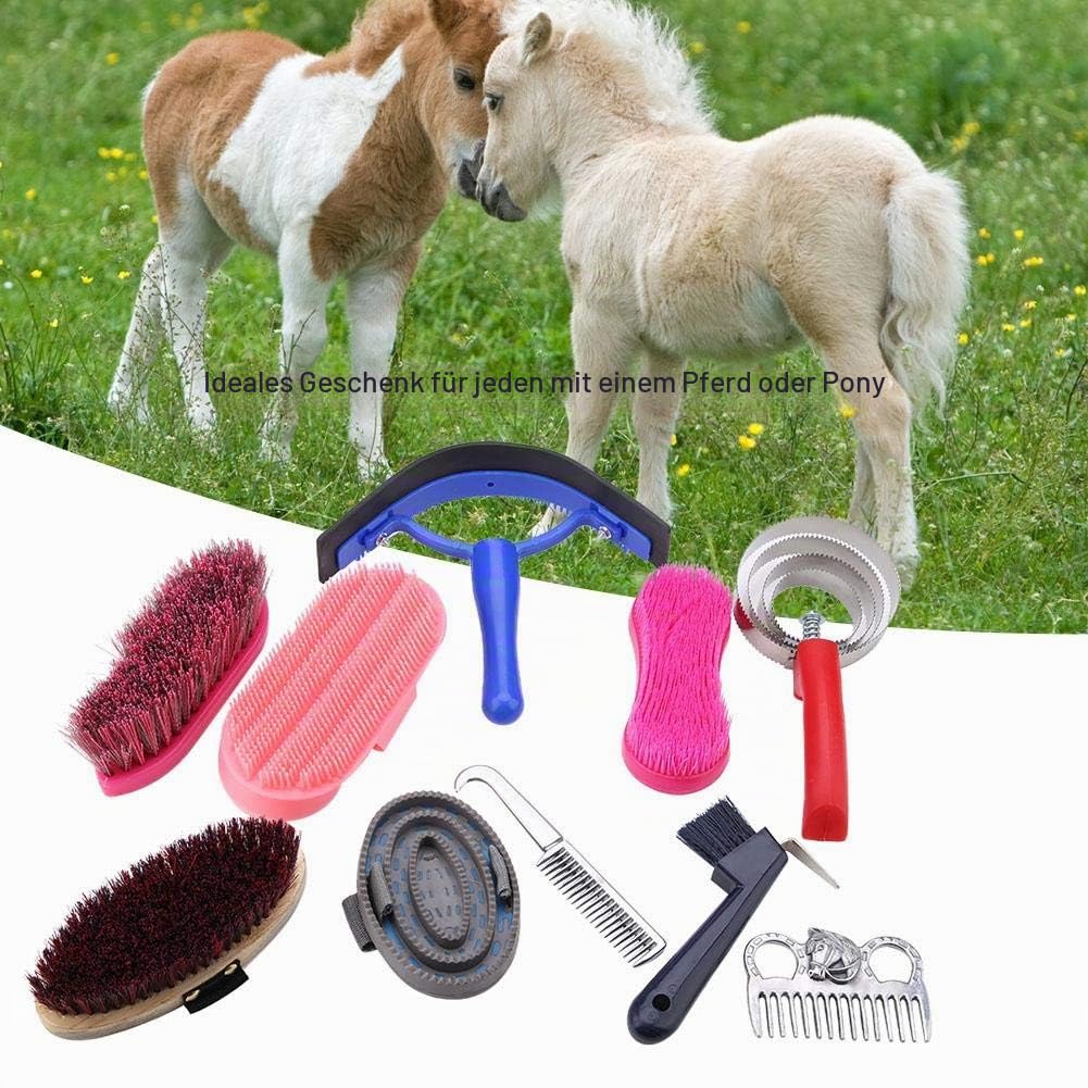 VIFER Pferdebürsten-Set 10-TLG Putzzeug für Pferde Reitsportbürste Pferdereinigungs Horse Grooming C