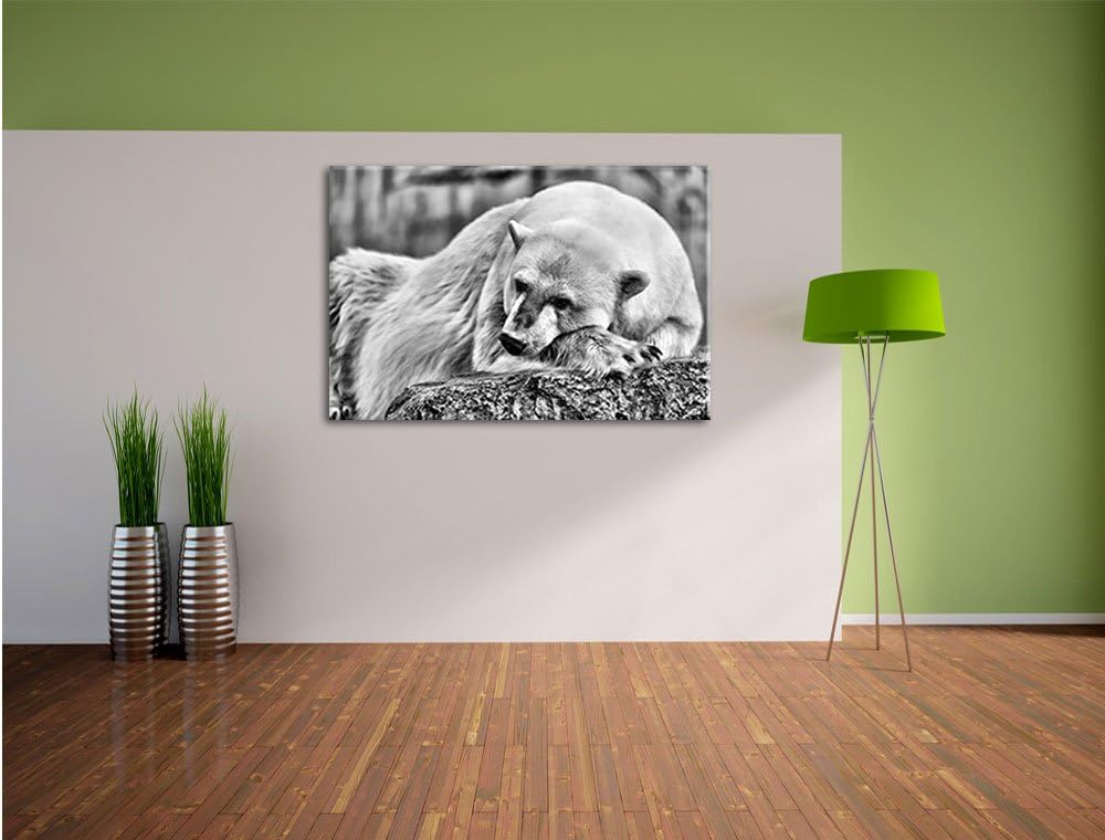 Pixxprint Monocrome, schlafender Eisbär, Format: 100x70 auf Leinwand, 100x70