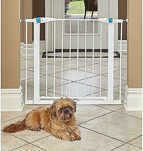 Midwest Homes for Pets 2929SG-GL Stahl-Absperrgitter für Haustiere, mit phosphoreszierendem Streifen