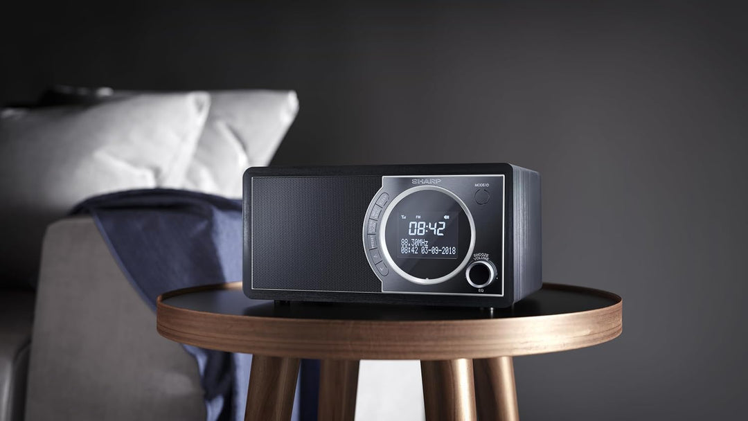 SHARP DR450 Digitalradio (DAB/DAB+/FM mit RDS, Bluetooth, Wecker-Funktionen, 6 Watt), schwarz Mono D