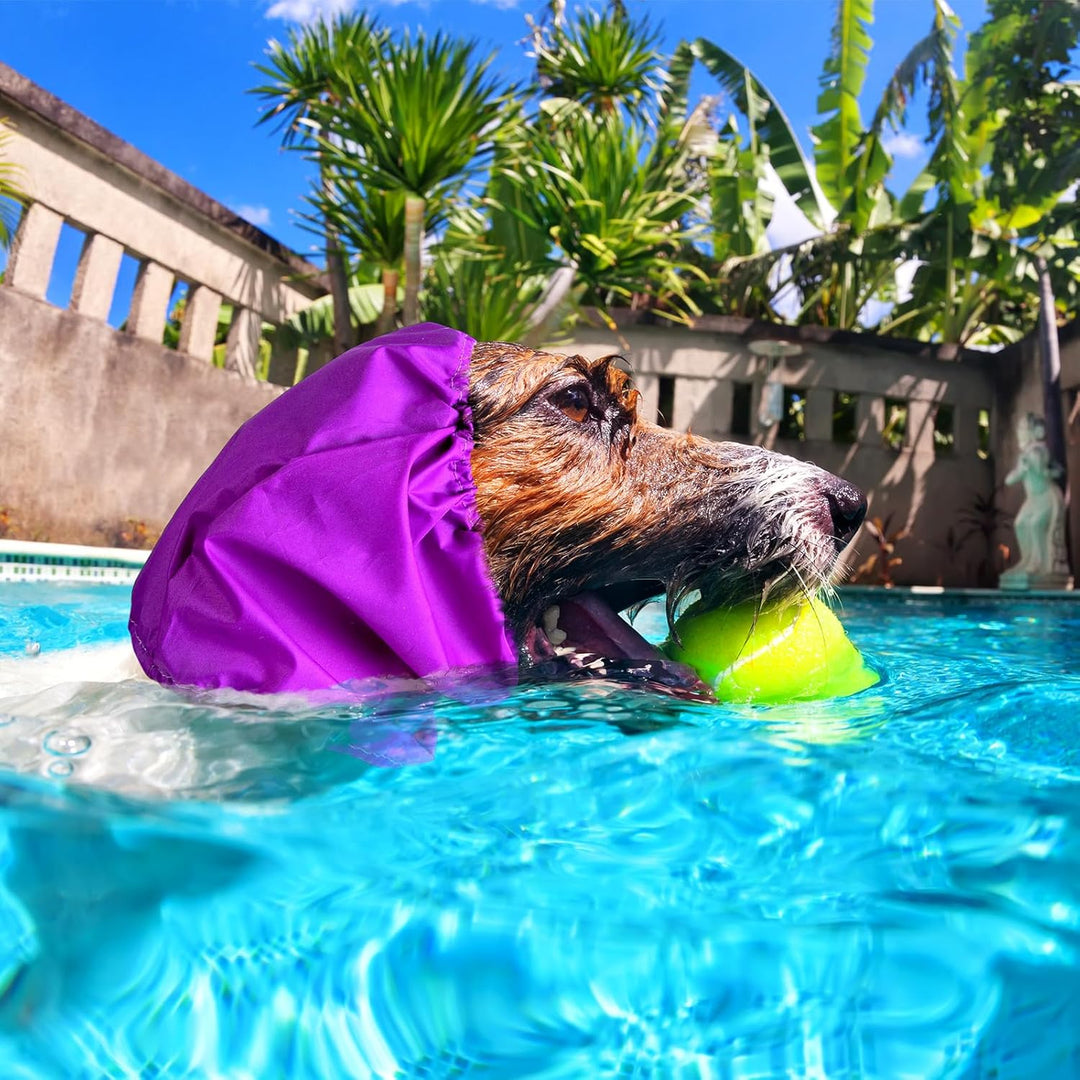 Aliceset Hunde-Badekappe, wasserdicht, Hundeohrenschutz, Badekappe, Hundeohren, Stirnband, Hundescha