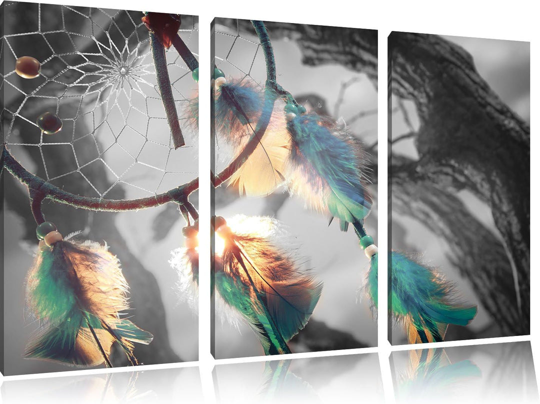 Pixxprint Traumfänger als Leinwandbild/Grösse: 3 Teilig (120x80) cm/Wandbild/Kunstdruck/fertig bespa