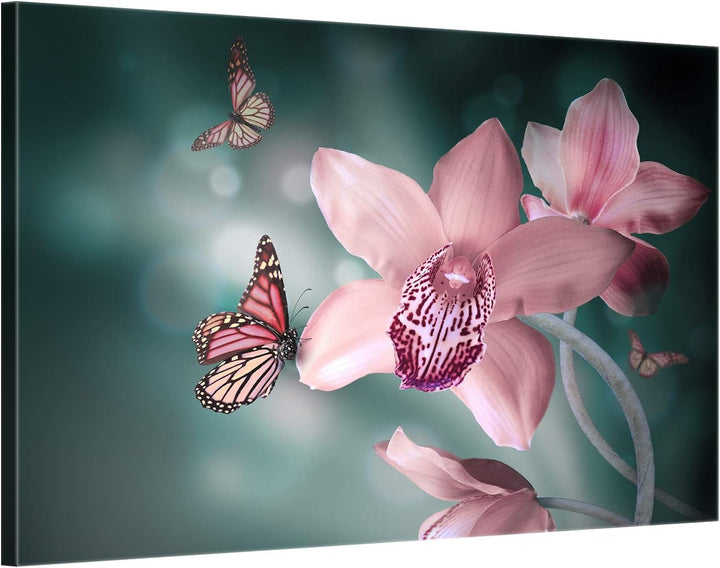 ge Bildet Bild auf Leinwand | Orchideen mit Schmetterlingen - natur blumen K in 70x50 cm als Wandbil