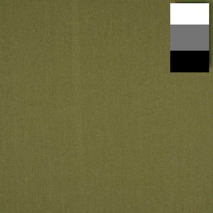 Walimex Stoffhintergrund 2,85 x 6m kaktus, kaktus