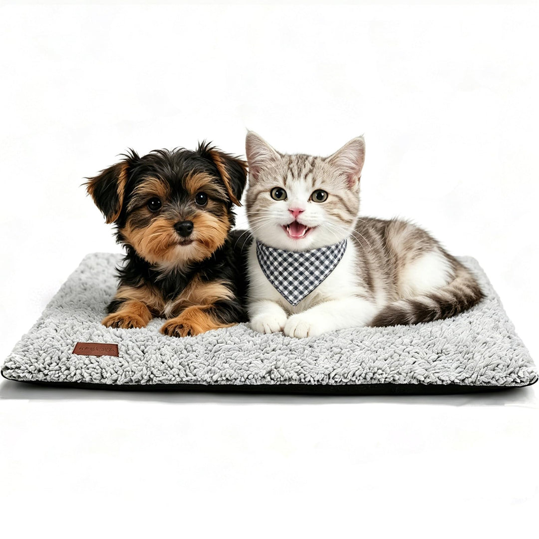 Mora Pets Selbstheizende Katzendecke Heizdecke für Katze Hunde Wärmedecke Selbstwärmend Decke Katze