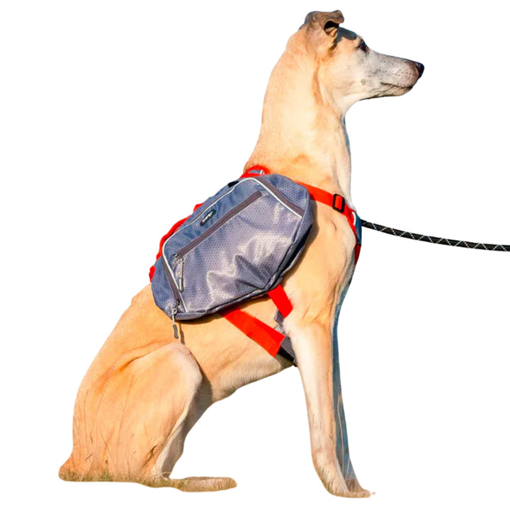 iEnergy™ MAE Hunderucksack - 2in1 Geschirr und Abnehmbarer Rucksack für Hunde - Wetterfest und inklu