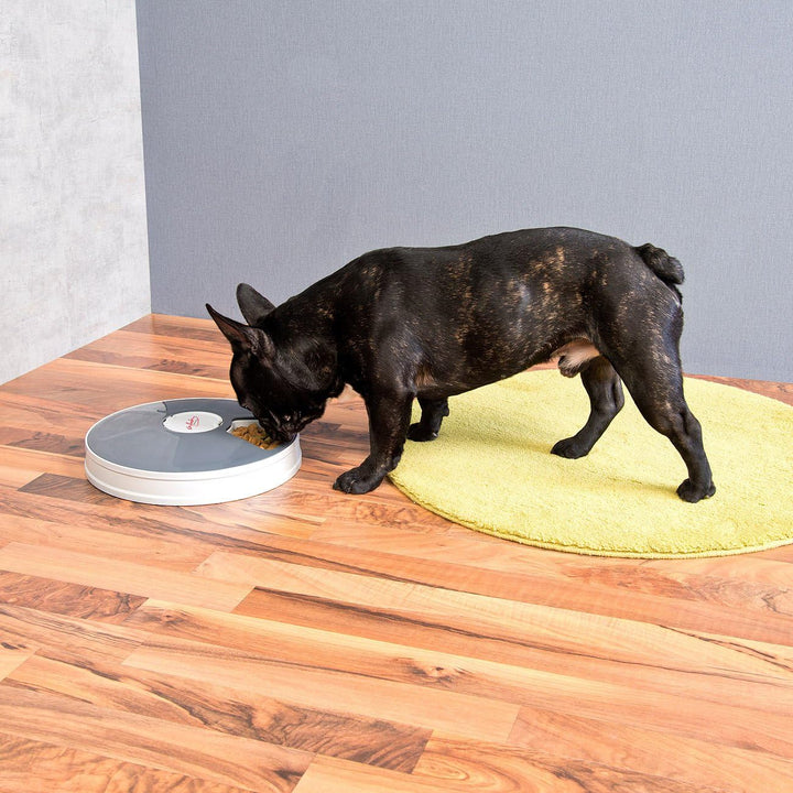 infactory Katzenfutterautomat: Zeitgesteuerter 6-Fach-Katzen- & Hunde-Futterspender, LCD-Display (Fu