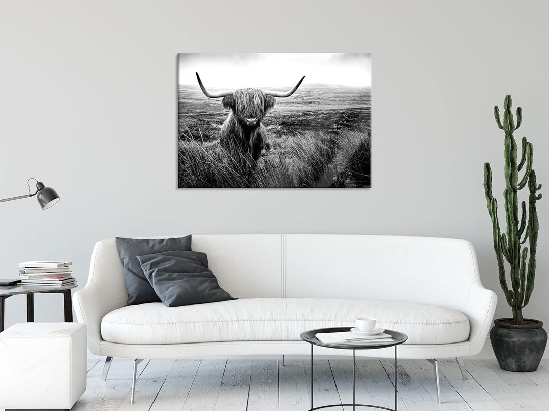 Pixxprint Glasbild | Wandbild aus Echtglas | Highland Rind mit grossen Hörnern Steppe, Monochrome |