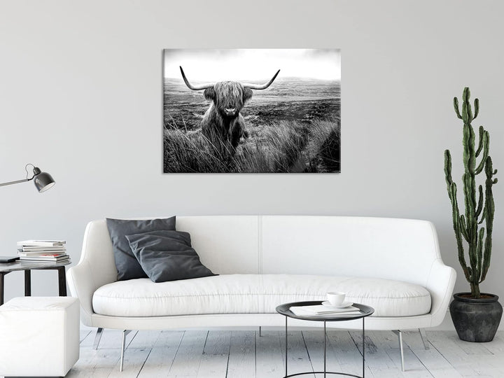 Pixxprint Glasbild | Wandbild aus Echtglas | Highland Rind mit grossen Hörnern Steppe, Monochrome |