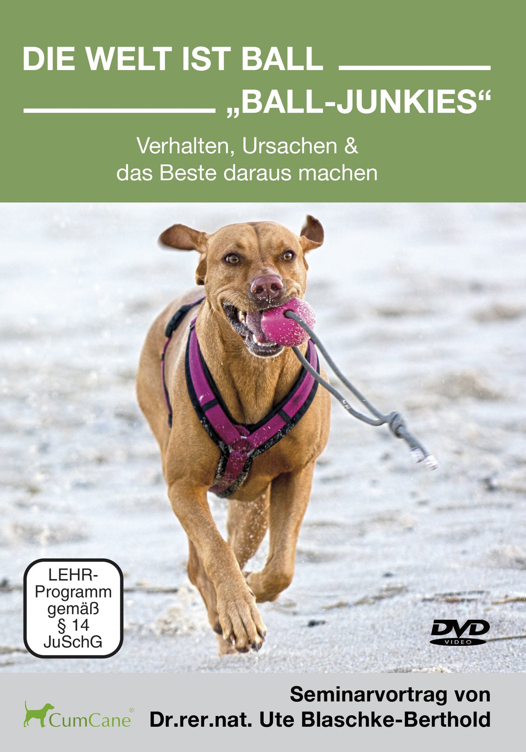 Die Welt ist Ball - Ball Junkies - Verhalten, Ursachen & das Beste daraus machen [2 DVDs], DVD
