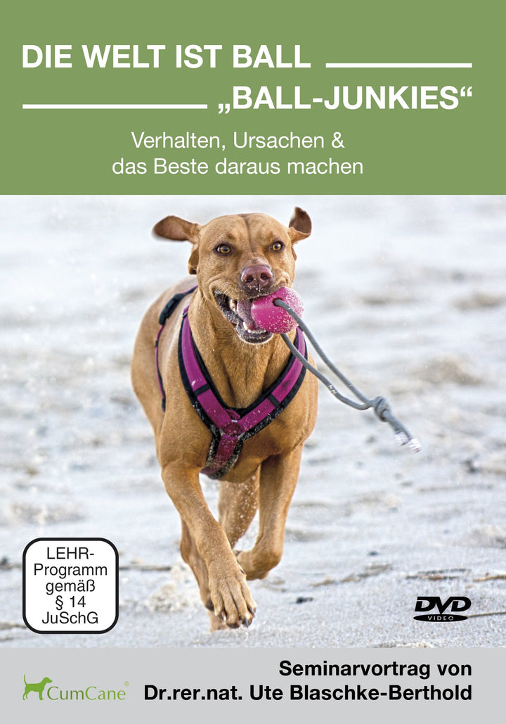 Die Welt ist Ball - Ball Junkies - Verhalten, Ursachen & das Beste daraus machen [2 DVDs], DVD