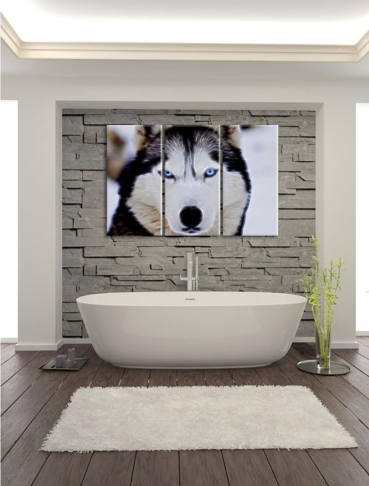 Pixxprint Husky Neon Lights Effekt 3-Teiler Leinwandbild 120x80 Bild auf Leinwand
