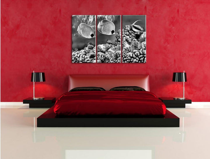 Pixxprint Tropen Fische als Leinwandbild/Grösse: 3 Teilig (120x80) cm/Wandbild/Kunstdruck/fertig bes