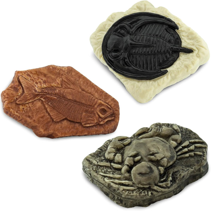 Safari Ltd. antike Fossilien TOOB - Figuren: Dinosaurier-Fussabdruck, Riesenkrabbe, Ammonit, Raptor-