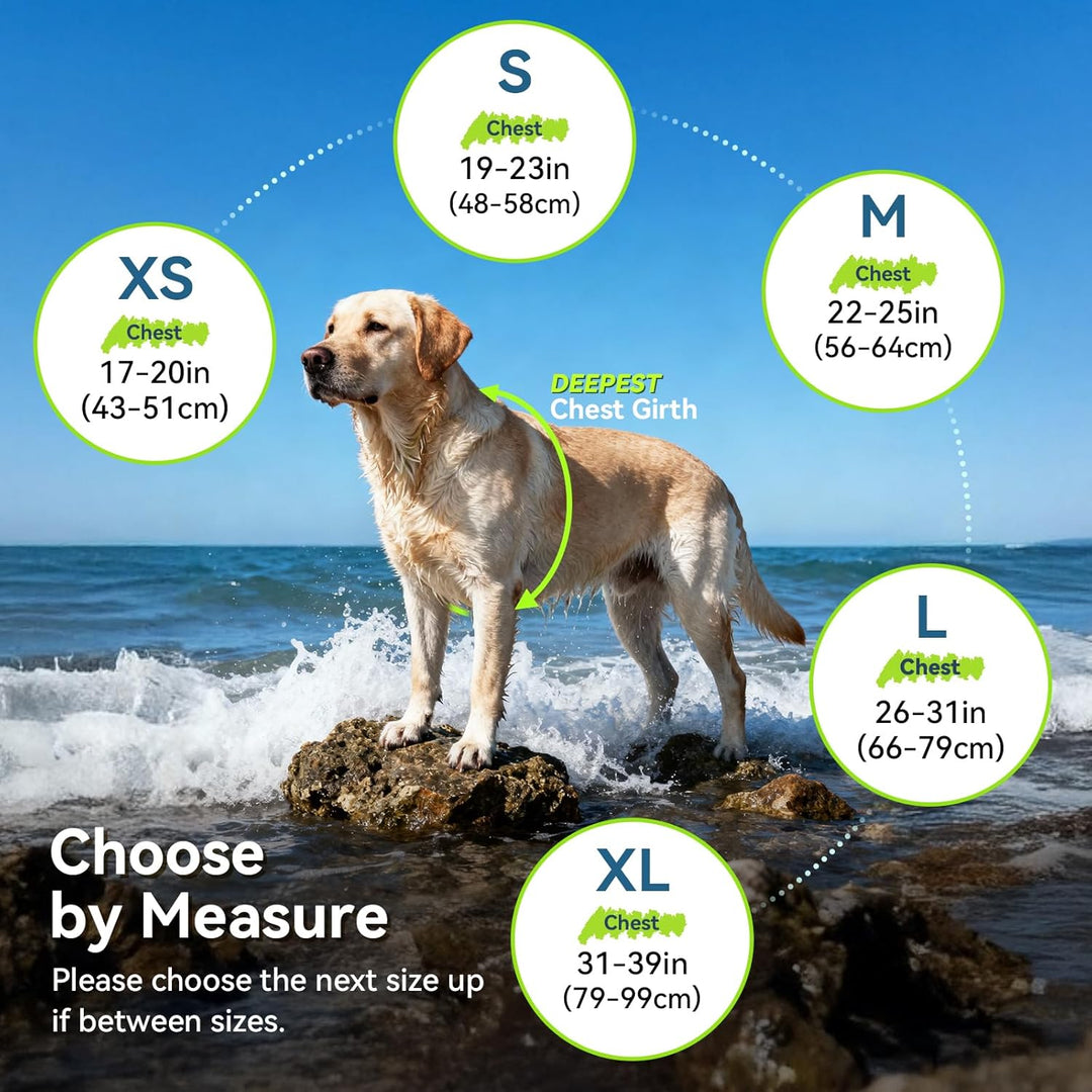 VIVAGLORY Sportstil Schwimmweste für Hunde mit Hervorragendem Auftrieb, Einstellbar & Langlebig Schw