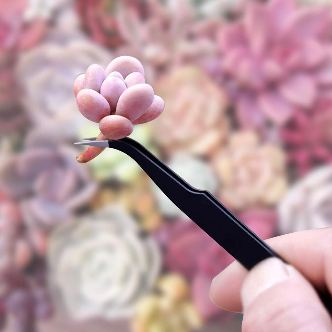 Opaltool Garten Sukkulenten Werkzeugset, 14 pcs Mini Garten Handtransplantations Sukkulenten Werkzeu