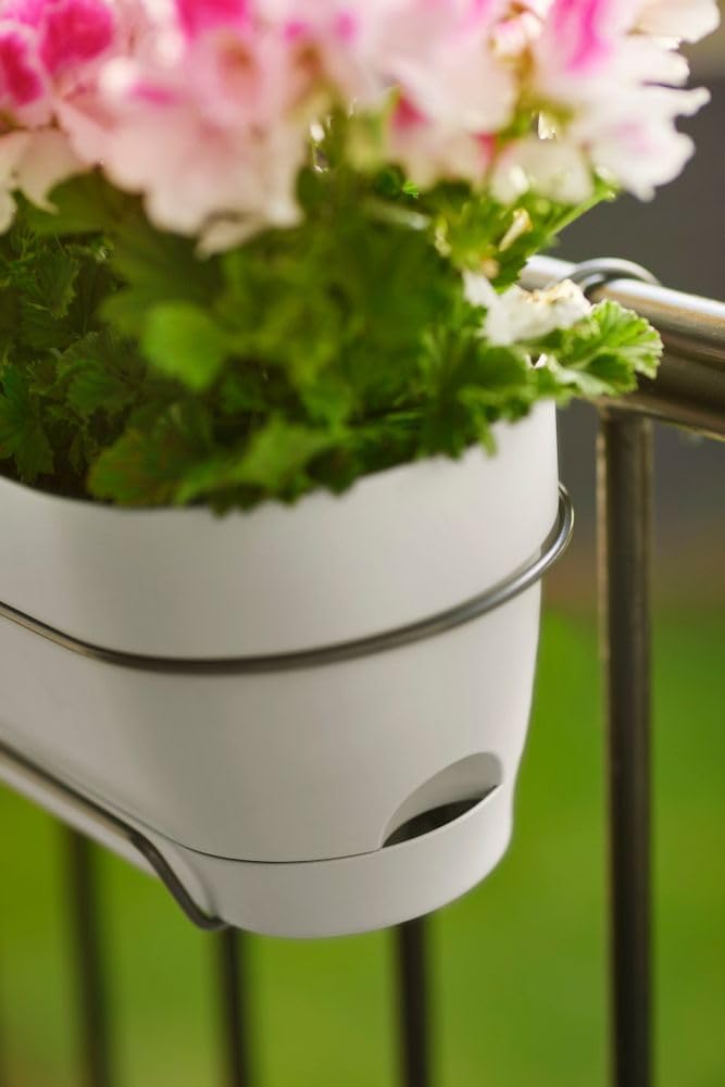 elho Vibia Campana Balkonkasten Allin1 50 mit Wasserreservoir - Blumentopf Balkongeländer - 100% rec