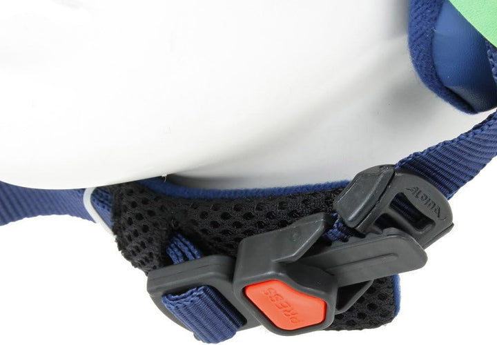 Alpina Unisex – Erwachsene Biom Skihelm 58-62 cm Navy Matt, 58-62 cm Navy Matt