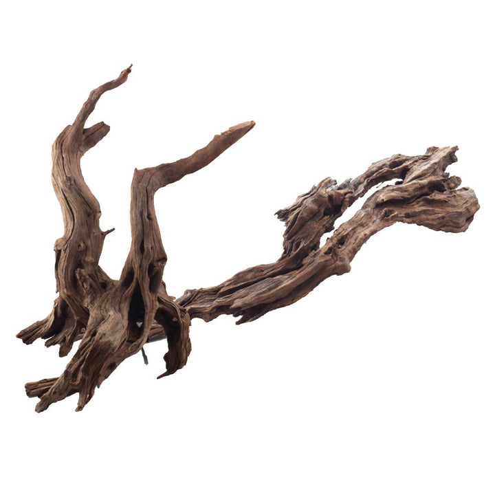 Amtra - Ikebana-Holz, handgefertigt, für Aquarien, 30-50 cm