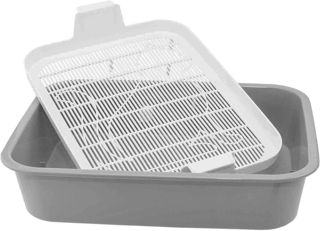 4Big.fun 2X Set Erste Katzentoilette Schalentoilette Katzenklo - perfekt für Kätzchen Katzenbabys Ju