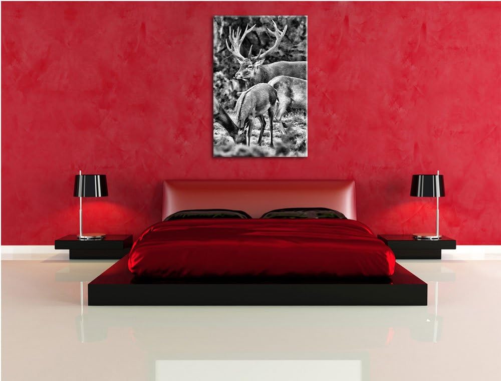 Pixxprint Hirschfamilie auf Waldlichtung als Leinwandbild/Grösse: 100x70 cm/Wandbild/Kunstdruck/fert